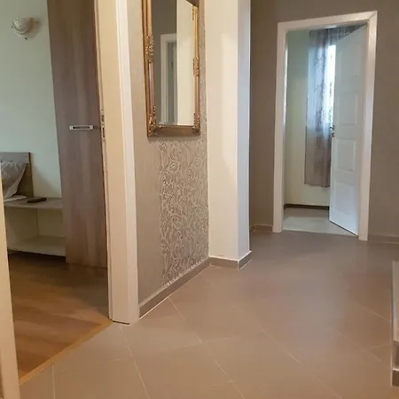 свила 2*