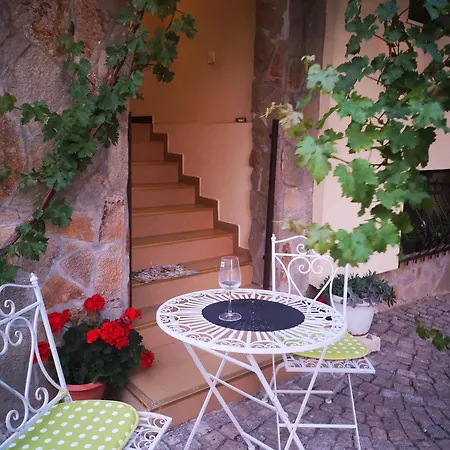 Guest house свила