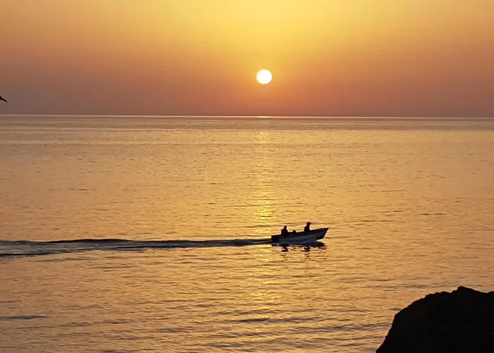 свила Szozopol