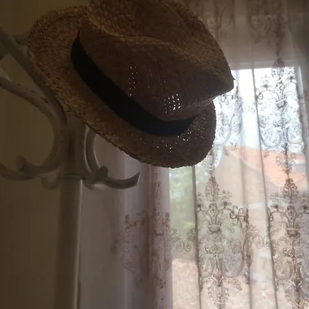 свила 3* 소조폴